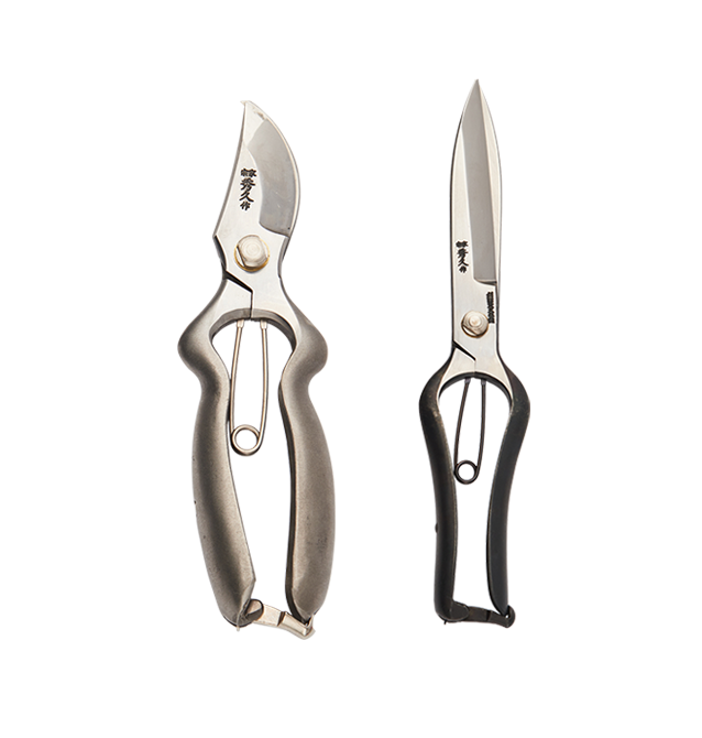 Two secateurs