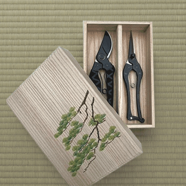 Limited Edition Garden Scissors Black Masamune Pruning Shears and Kuroco Pointy in Collectable Box Pine