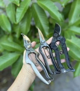 Our three signature secateurs—crafted for precision, comfort, and care—ready to tackle winter pruning with ease.