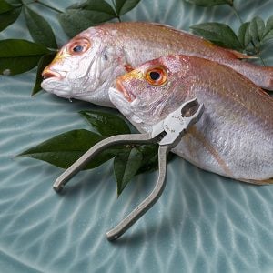Hokuto Fish Boning Pliers on Snapper