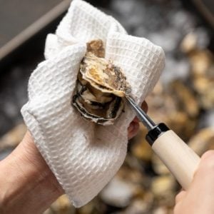 Opening an oyster using Japanese Professional Stainless Steel Oyster Shucker