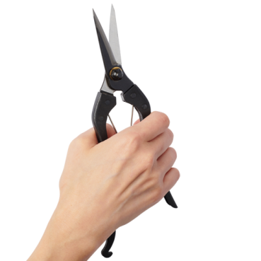 Hand Holding Kuroco Pointed Tips Single Edged Garden Scissors