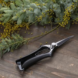 Ken-Katabami Japanese bud trimming scissors beside yellow flowers