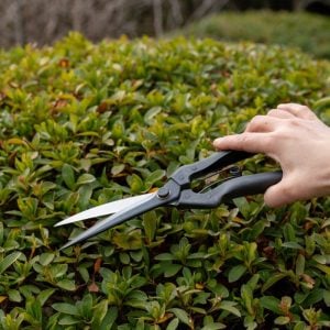 Kuroco Hand Held Topiary Shears 260mm on Green