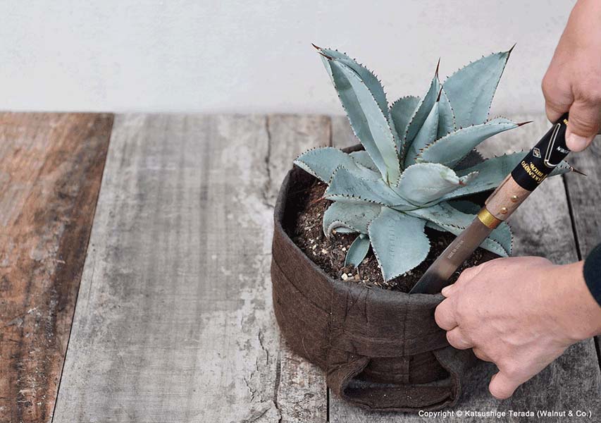 Transplanting Garden Knife – Large - Image 4